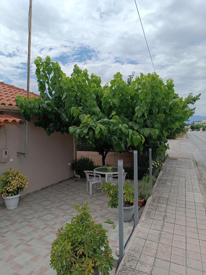 Chrysa'S House Apartment Aigio Dış mekan fotoğraf