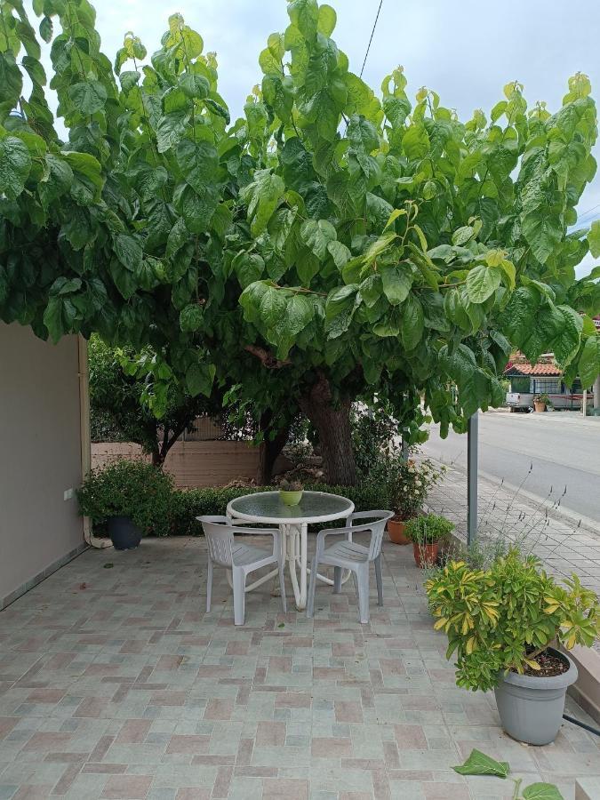 Chrysa'S House Apartment Aigio Dış mekan fotoğraf